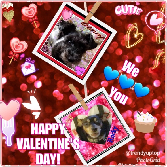 MEET YOUR POSHER!!! - Picture 8 of 8